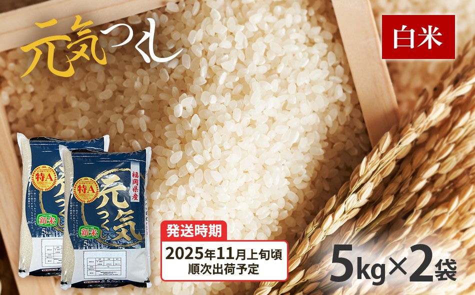 
                   令和7年産　福岡県産ブランド米「元気つくし」白米10kg【11月上旬頃より順次出荷予定】
                