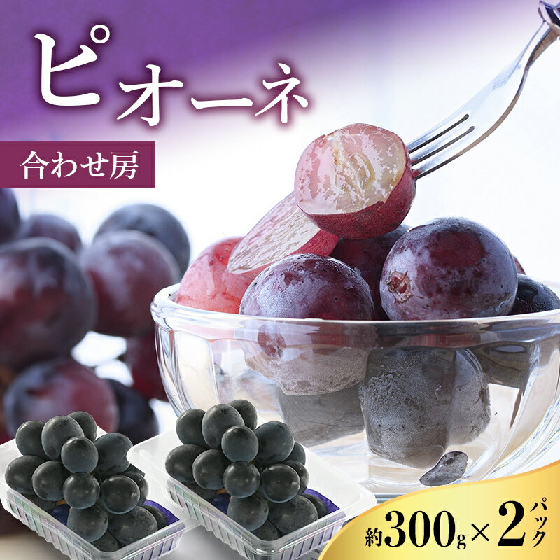 【ふるさと納税】【2026年8月より順次発送】 ピオーネ 約300g×2パック（計約600g）合わせ房 若手農家応援 ぶどう ブドウ 果物 くだもの 旬のフルーツ 旬の果物 季節のフルーツ 季節の果物 静岡 浜松市　お届け：2026年8月21日～8月31日まで