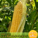 【ふるさと納税】【 のざわ農園 】スイートコーン 20本 入り（約8kg）北海道 日高産　【 野菜 とうもろこし 北海道コーン 産地直送 旬の野菜 夏野菜 】　お届け：2024年8月中旬～9月下旬まで