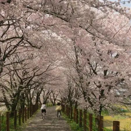 【返礼品なし】岐阜県輪之内町ふるさと応援寄附(一口:30,000円)
