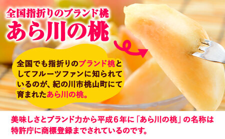 【先行予約】あら川の桃 約1.5kg (5-7玉) あら川第一桃生産組合《2026年6月下旬から8月下旬頃出荷》｜桃 もも モモ フルーツ 果物 白鳳 清水白桃 川中島白桃  和歌山県産の桃 紀の川市