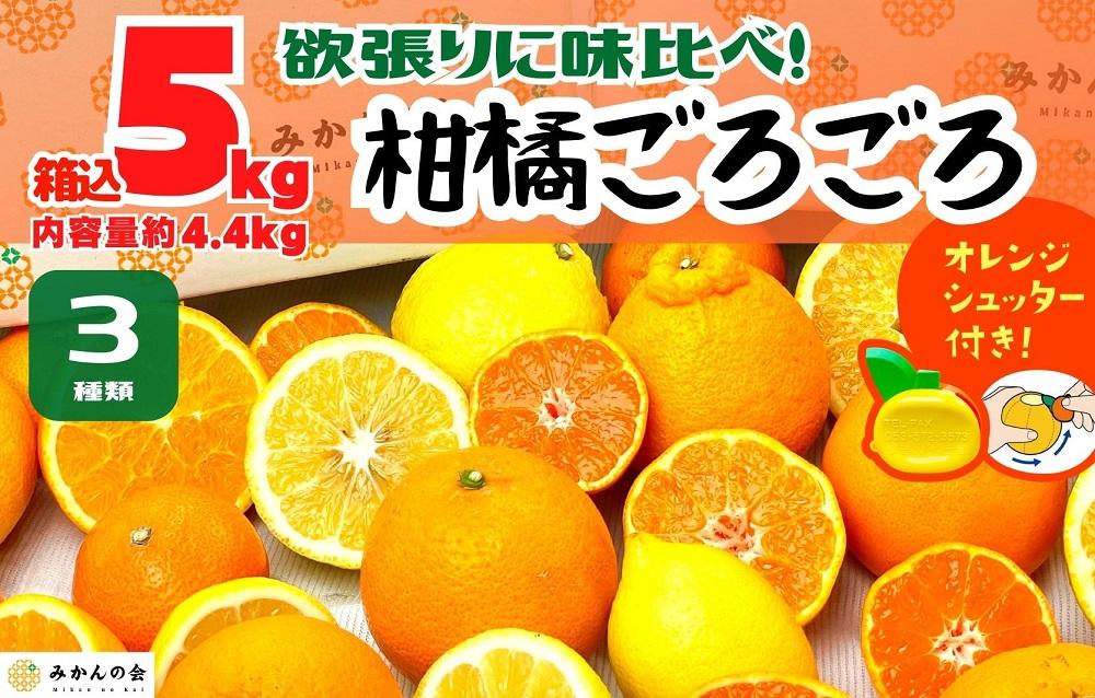 旬の柑橘食べ比べ 柑橘ごろごろ 3種 箱込 5kg(内容量約 4.4kg) 秀品 優品 混合 和歌山県産 産地直送 【おまけ付き】【みかんの会】AX248_イメージ1