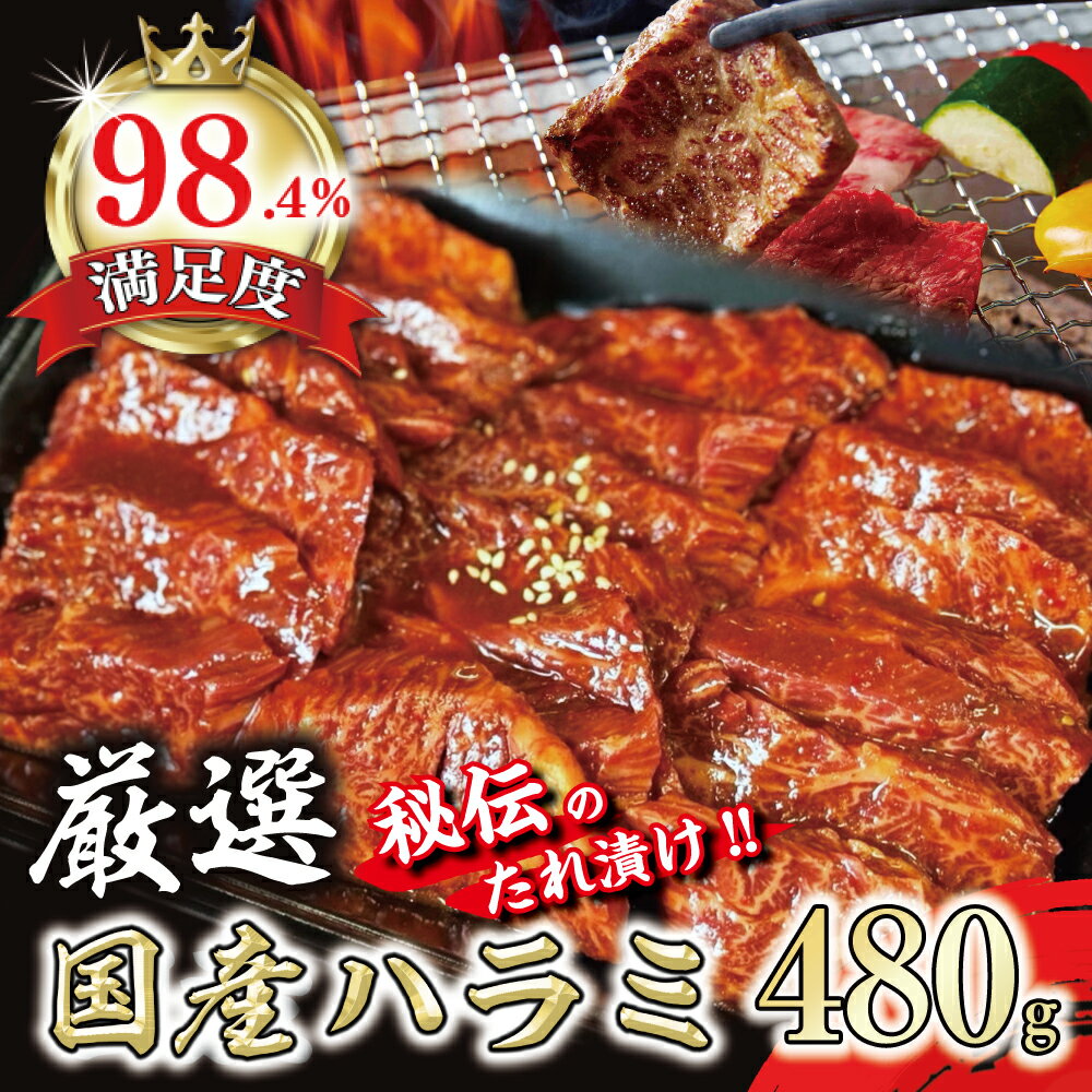 【ふるさと納税】希少　和牛入国産牛　ハラミ480g　秘伝の自家製タレ漬け