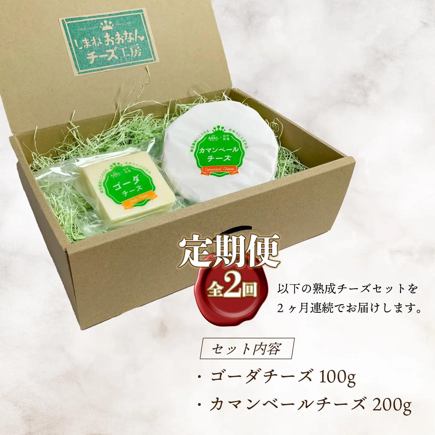 【定期便2回】熟成チーズセット（ ゴーダチーズ100g・カマンベールチーズ200g）