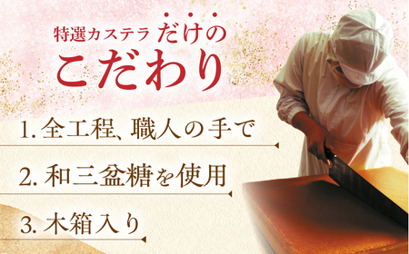 【全6回定期便】【木箱入り】特撰 カステラ 580g 《長与町》《文明堂総本店》 [EAK003]