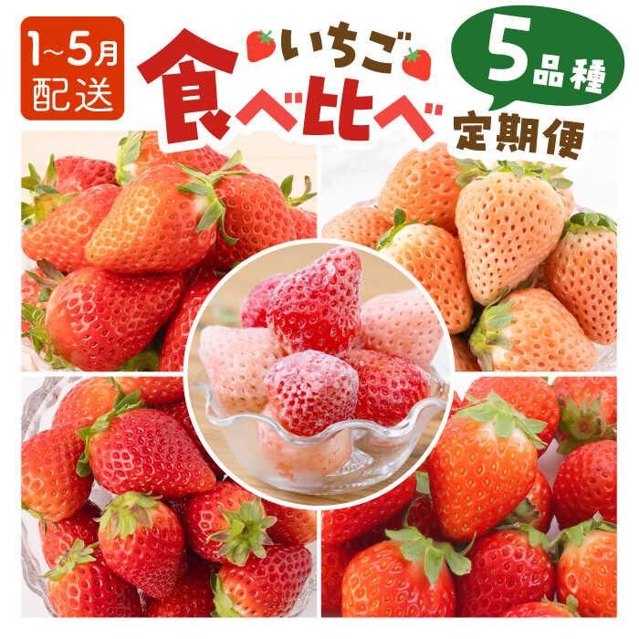 【ふるさと納税】【R8年1月以降発送】【5回定期便】いちご 5品種 食べ比べ 白いちご など 希少品種 も！【岸川農園】いちごさん よつぼし 淡雪 さがほのか 冷凍いちご イチゴ 苺 果物 フルーツ 定期便 旬 食べ比べ 希少 [IAP010]