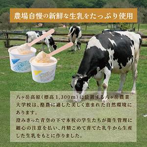 八ヶ岳農場 バニラ＆生ソフトクリームアイス 味比べセット　各6個・2種類(合計12個)【配送不可地域：離島】【1600512】