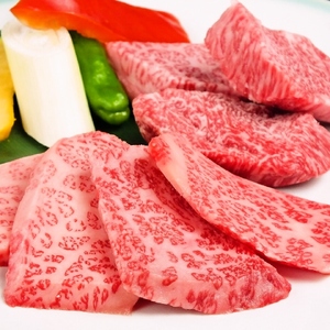 【焼肉上野太昌園】太昌園満喫コースチケット(ペア)＜飲み放題なし＞_0244-001-T07