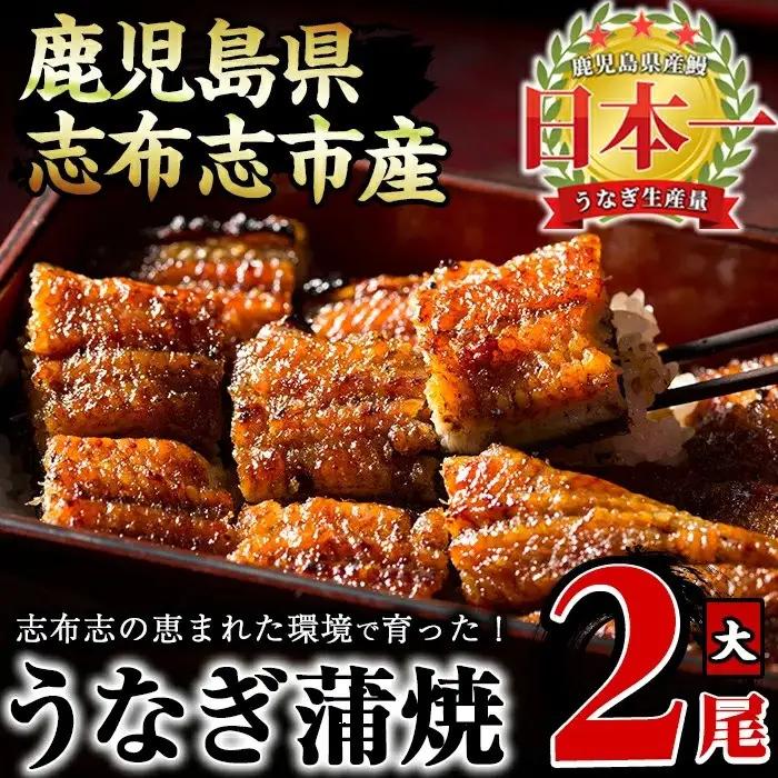 うなぎの大楠＜大＞2尾セット計300g(150g×2) うなぎ 鰻 ウナギ 2尾 国産 九州産 蒲焼き かばやき 冷凍 うな重 ひつまぶし タレ 山椒 真空パック ランキング 人気 a5-244
