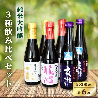 
                  ＜先行予約＞中沖酒造 純米大吟醸 飲み比べセット 3種×各2本(各300ml 計6本)【1723277】
                
