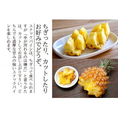 ふるさと納税 石垣市 <先行予約> 農家直送!石垣島産 スナックパイン 3玉入 約1.8kg (1.6〜2.0kg) <2 |  | 03