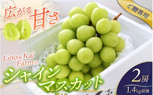 【2025年先行予約】【ご贈答用】岡山のシャインマスカット２房  （1.4㎏前後） 化粧箱入 Lino＆Kai Farm 【2025年10月上旬～順次発送】 / 朝採れ ぶどう 岡山  真庭市 シャインマスカット 高級 ギフト 大粒 果物 贈答 人気 産地直送 国産 安全 数量限定 種なし 食べチョクアワード 受賞