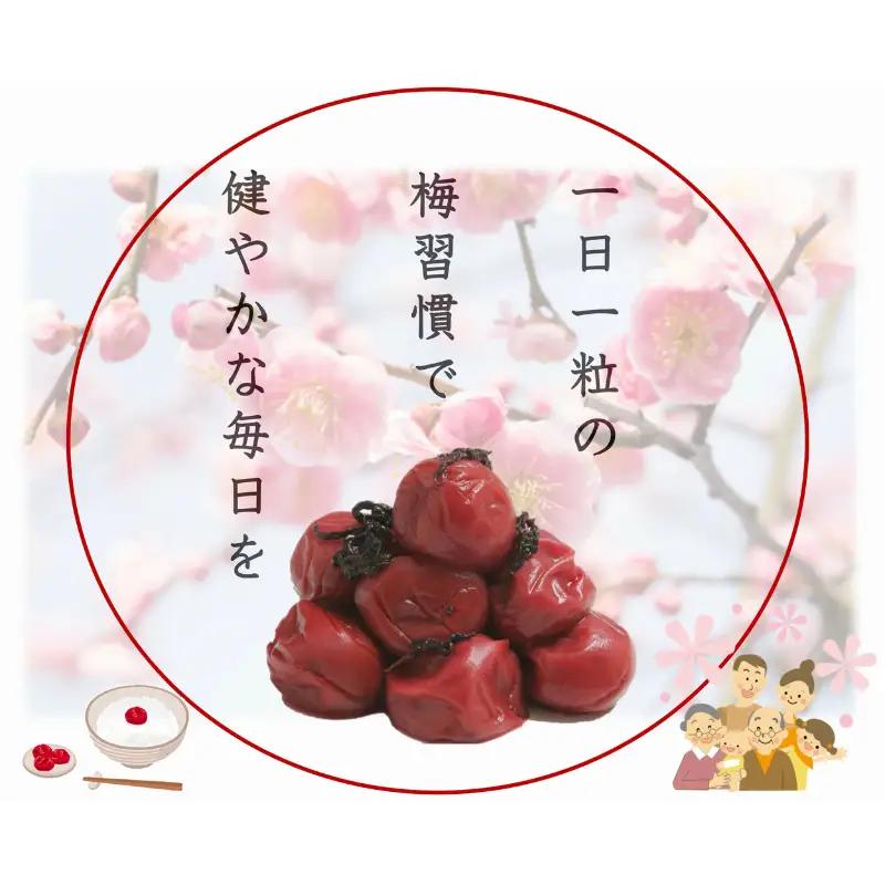紀州南高梅 しそプレミアム塩分約6％ 500g ［YM13m］【yamada004A】