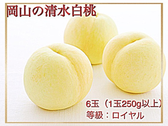 
            Hz-1【令和8年発送・先行予約】岡山県産　清水白桃（1玉250ｇ以上）6玉　等級：ロイヤル　化粧箱入り
          