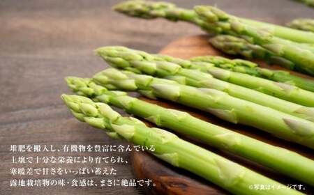 グリーンアスパラ M・Sセット  合計約2kg 【2025年4月下旬～2025年5月下旬発送】 野菜 アスパラガス アスパラ 旬 M S 北海道 浦臼町