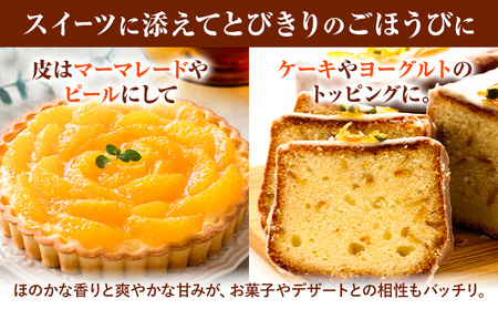 【先行予約】 みかん 不知火 3kg 高橋商店《2026年1月下旬-5月中旬頃出荷》熊本県 苓北町 柑橘 かんきつ 果物 フルーツ しらぬい 送料無料