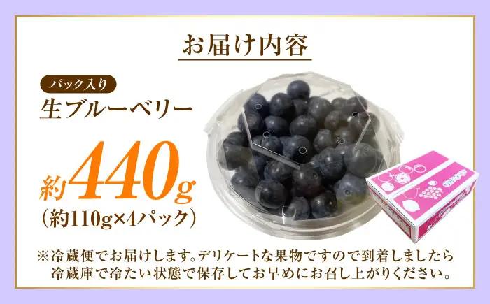 ブルーベリー 生ブルーベリー110g×4 フルーツ 果物 BJBG003