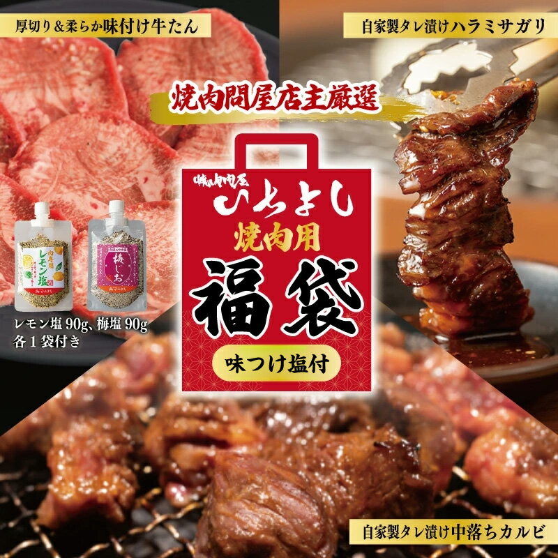 【ふるさと納税】焼肉問屋いちよし 店主厳選 人気焼肉 福袋 （牛たん / ハラミ / 中落カルビ） 食べ比べ 簡単調理 味付き 小分け 冷凍 レモン塩 梅じお スパイス付き 焼肉セット BBQ 焼き肉パーティー 肉の日 泉佐野市 送料無料 肉の泉佐野
