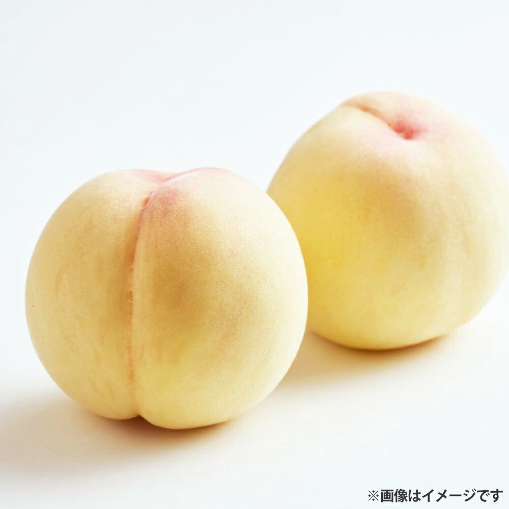 【ふるさと納税】【ご家庭用】岡山白桃 5～7玉（約1.5kg以上） 白桃 桃 もも モモ フルーツ くだもの 果物 果実 デザート 冷蔵 岡山県産 国産 岡山県 美咲町 送料無料 【2026年6月下旬～8月下旬発送予定】