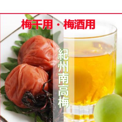 ふるさと納税 和歌山市 2025/6月より発送【梅干し・梅酒用】紀州和歌山の熟南高生梅2LorL-2kg |  | 01