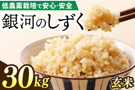 【新米】令和6年産 銀河のしずく 30kg (玄米) 低農薬栽培米 生産者直送 (EI010)