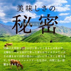 《GI認証》くまもとあか牛 すきやき用（400g） FKP9-436