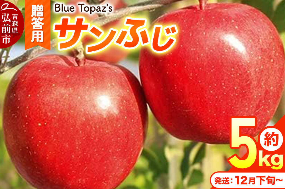 【26年12月下旬～発送】りんご サンふじ【贈答用】約5kg 内のし付き 青森県 弘前市 [先行予約 アップル おいしい ふじ りんご 果実 果物 赤色 津軽 糖度 美味 林檎]