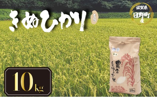 【 令和8年産 米 10kg 】 きぬひかり 米 玄米 国産 滋賀県 日野町 農家直送 お米 おこめ こめ 産地直送 ふるさと納税