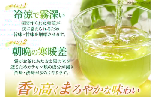 茶 お茶 緑茶 長崎 そのぎ茶 定期便 毎月 彼杵茶 玉緑茶 アルミボトル 490ml 24本 6回 総計144本 [彼杵の荘 長崎県 東彼杵町 hs42bag270039] 月に1回 アルミボトル 