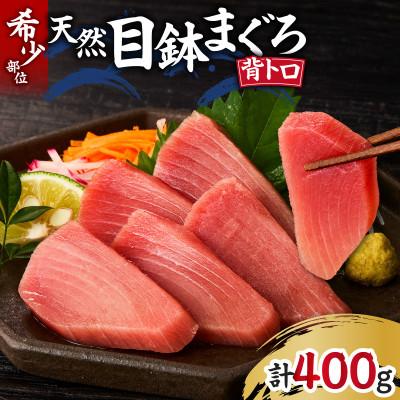 ふるさと納税 三浦市 ≪希少部位≫目鉢鮪の背トロお刺身セット