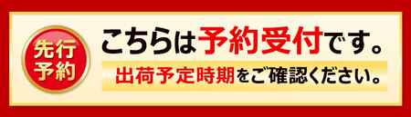 【ふるさと納税】【10月～4月配送限定】本格割れチョコ 　つぶつぶ苺ミルク 250g×2_MH140-0037-500
