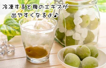 【2025年7月上旬～出荷予定】梅 冷凍 青梅 南高梅 3kg ( 1kg × 3袋 ) 秀品 2L or Lサイズ 和歌山県産 紀州有田  【みかんの会】
