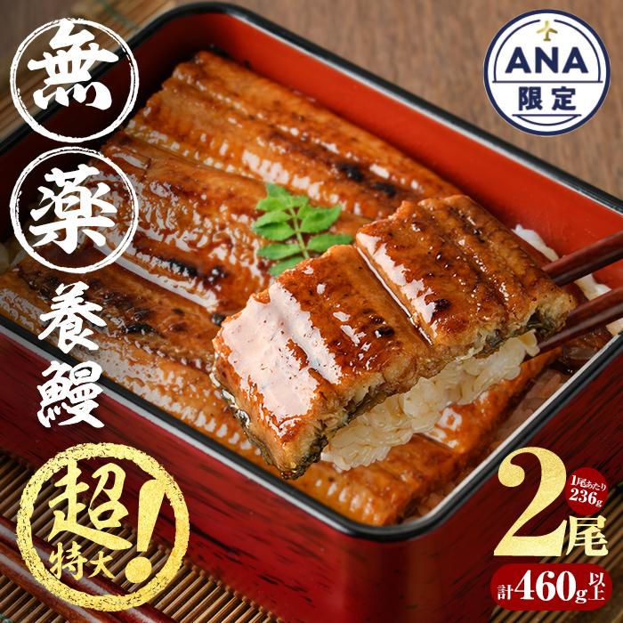 【ANA限定】【数量限定】超特大！鹿児島県産 山田のうなぎ (計460g以上・236g以上×2尾) うなぎ 鰻 ウナギ 2尾 国産 九州産 蒲焼き かばやき 冷凍 うな重 ひつまぶし タレ 山椒 ラン