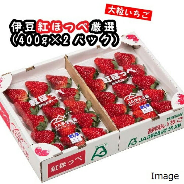 【ふるさと納税】【先行予約/数量限定】新鮮大粒いちご！伊豆紅ほっぺ厳選（約400g×2パック）|果物 フルーツ イチゴ 苺 期間限定 伊豆の国 静岡 静岡県