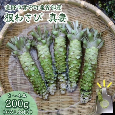【生産者直送】宮守特産わさび 真妻(生) 200g(3〜4本)【おろし金付き】岩手県 遠野市 葵食品【配送不可地域：離島】【1332087】