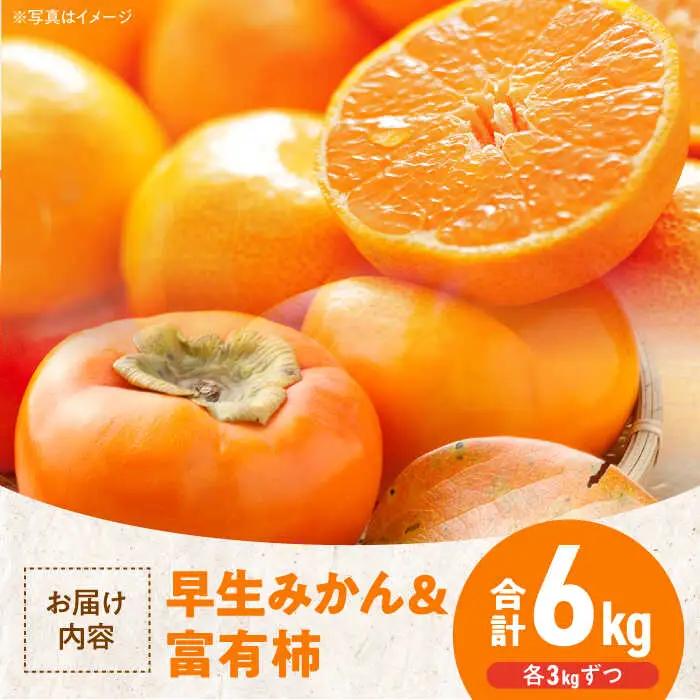 早生みかん＋富有柿（各3kg） 富有柿 みかん【11月上旬より順次発送】[AGBN019]