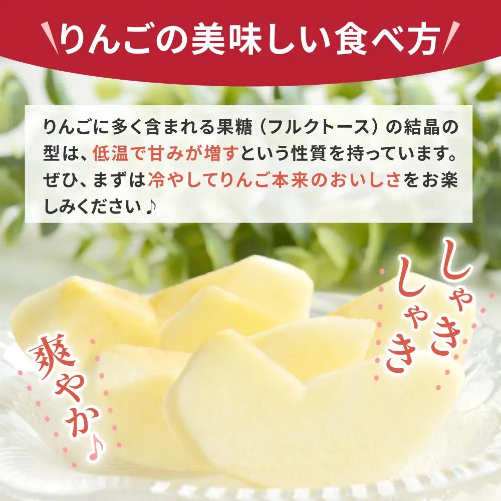 りんご　約5kg早生ふじ【2026年10月上旬発送】高級品贈答りんご