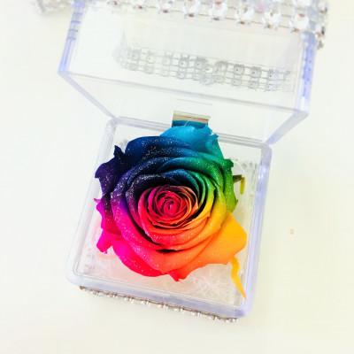 ふるさと納税 中央市 プリザーブドフラワー レインボーローズ クリアケース ミニサイズ 花言葉「奇跡」「無限の可能性」