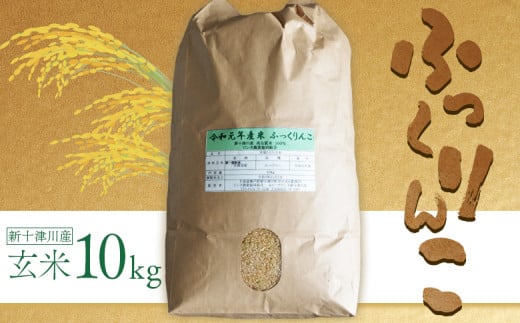 《先行受付》 【令和7年度産】 ふっくりんこ 玄米 10kg ｜ オンライン 申請 ふるさと納税 北海道 新十津川 北海道産 米 ブランド ブランド米 お米 北海道米 道産米 ご飯 美味しい ギフト  贈り物 お取り寄せ 新十津川町【1101804】