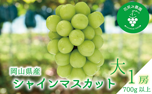 【2026年先行受付】岡山　花笑み農園の『シャインマスカット』700g以上(大1房)S-大1【配送不可地域：離島】