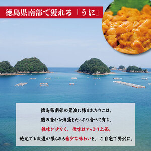うに 60g 生うに うに