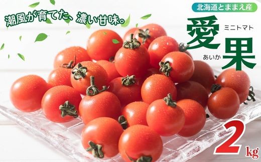 
                  【2026年7月上旬から発送】北海道とままえ産 ミニトマト「愛果（あいか）」2kg トマト とまと 北海道産 先行 予約 受付 甘い 旬 産地直送 野菜 北海道 苫前町 とままえ rum13
                
