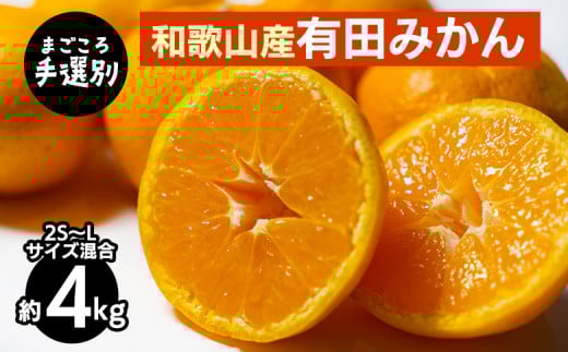 【まごころ手選別】和歌山産 有田みかん 4kg (2S～Lサイズ混合) ※2025年11月上旬～2026年1月下旬頃に順次発送予定