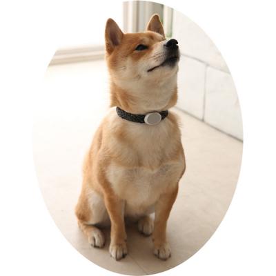 ふるさと納税 横浜市 【Size29cm】ザオラル・リカバリーαバンド BK/SI |  | 03
