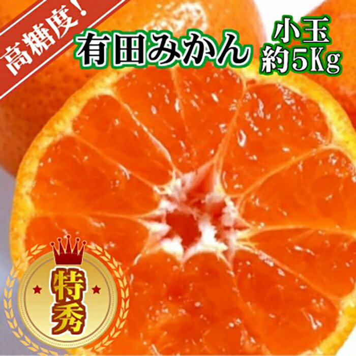 【ふるさと納税】有田みかん〔特秀品小玉S～M、高糖度］約5Kg！　2026年10月以降順次発送 | 九度山町 特秀品 高糖度 小玉 柑橘 果物 人気 おすすめ 有田産 甘味濃厚 ジューシー フルーツ 和歌山特産 ギフト 贈答用 お取り寄せ 送料無料 ふるさと納税