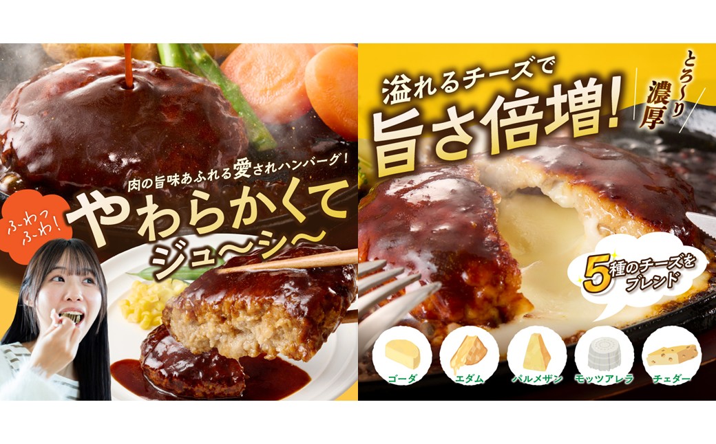 【A5-301】かねふく辛子明太子&デミソースのハンバーグ2種セット