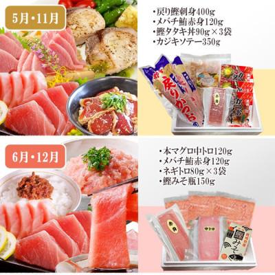 ふるさと納税 枕崎市 枕崎・お魚よりどり詰め合わせ定期便(6回配送)　FF-6005 |  | 03