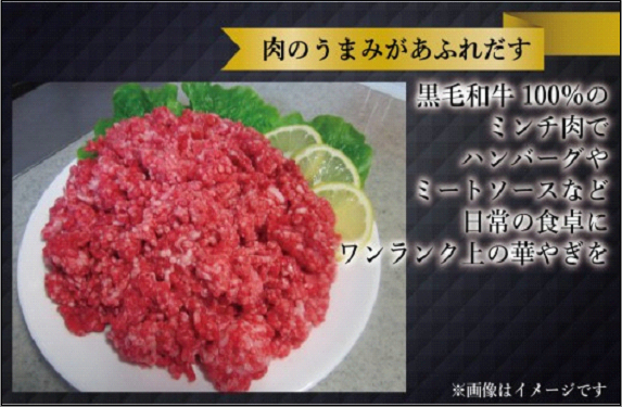 博多和牛 牛ミンチ 約3kg (約500g×6パック)
