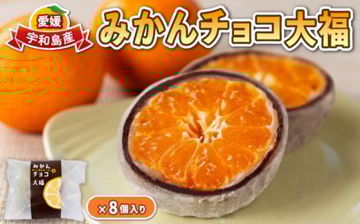 フルーツ大福 8個 みかん チョコ大福 宇和島産みかん 企業組合 津島 あぐり工房 大福 蜜柑 みかん ミカン 愛媛みかん 愛媛ミカン 愛媛蜜柑 チョコレート チョコ スイーツ デザート お菓子 菓子 おやつ  和菓子 柑橘 果物 フルーツ 餅 国産 愛媛 宇和島 J012-066004