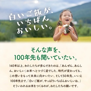 新米 先行予約 コシヒカリ 10kg 新潟県産コシヒカリ 令和6年産米 精米（コシヒカリ） 白米 お米 【013S008】